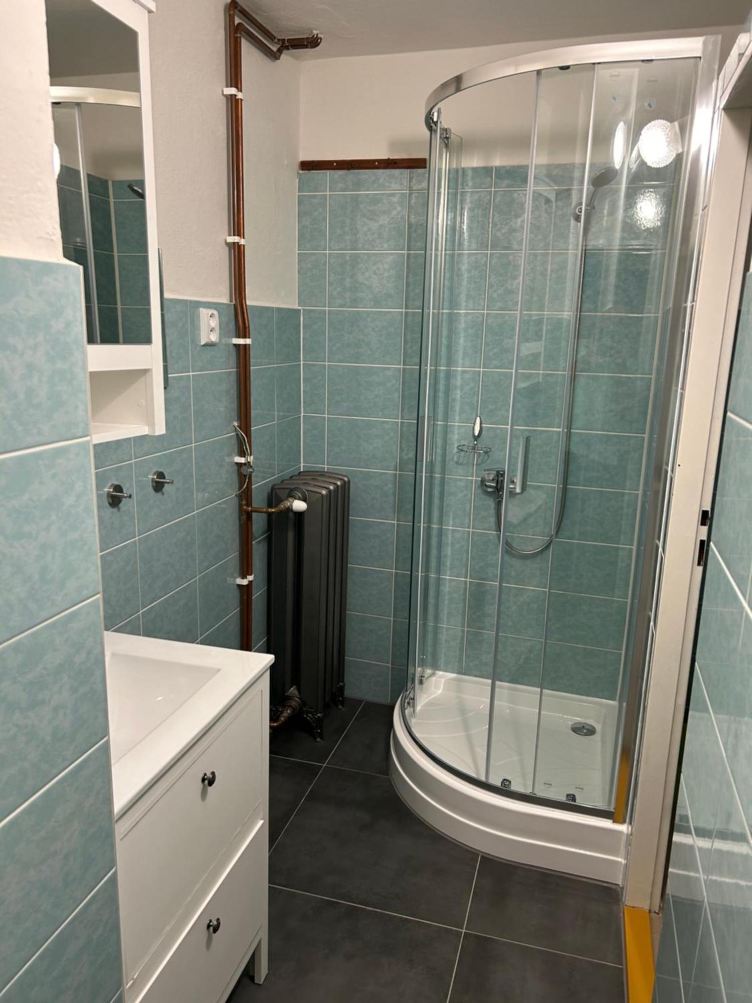 Apartmany U Vleku Карлова-Студанка Экстерьер фото